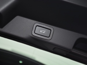 20215.0 SC V8 SVR پGư g