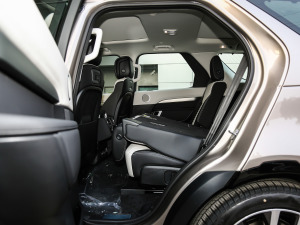 2021360PS R-Dynamic SE ηŵ