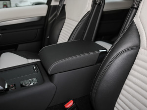 2021360PS R-Dynamic SE 