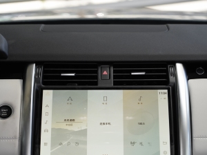 2021300PS S {(dio)L(fng)