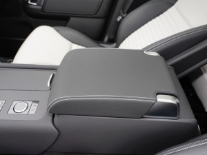 2021360PS R-Dynamic S 