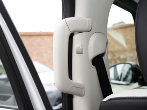 2021360PS R-Dynamic S g