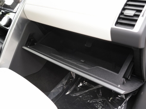 2021360PS R-Dynamic S g