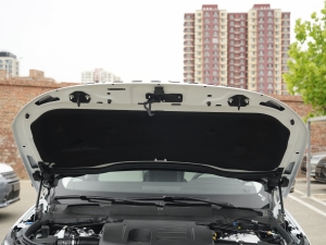 2021360PS R-Dynamic S 