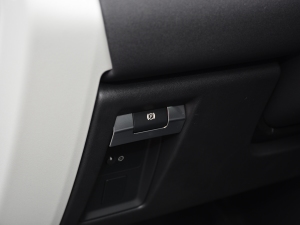 2021110 P400 SE v܇Ƅ