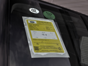 2021110 P400 X-DYNAMIC HSE ŲͺĘʾ