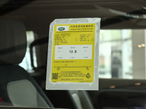 202190 P400 X-DYNAMIC S ŲͺĘʾ