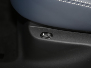 2021340PS R-Dynamic SE g