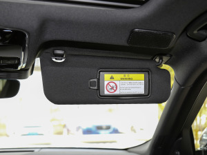 2021340PS R-Dynamic SE g