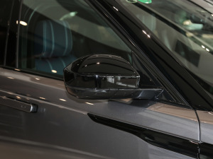 2021250PS ںذ (x)(ji)^