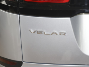 2021250PS } (x)(ji)^