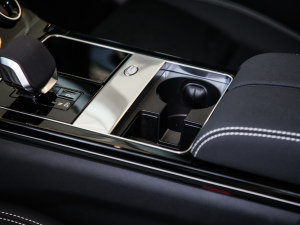 2021250PS } п؅^(q)