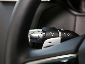 2021250PS } п؅^(q)