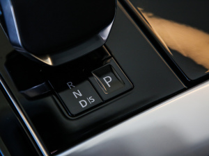 2021250PS } п؅^(q)