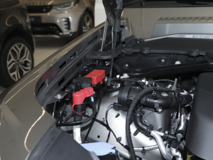 2022110 P400 X-DYNAMIC HSE 