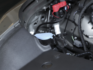 2022110 P400 X-DYNAMIC HSE 