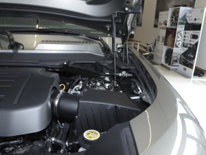 2022110 P400 X-DYNAMIC HSE 