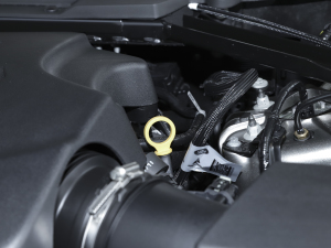 2022110 P400 X-DYNAMIC HSE 