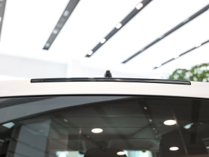 202290 3.0T XS (x)(ji)^