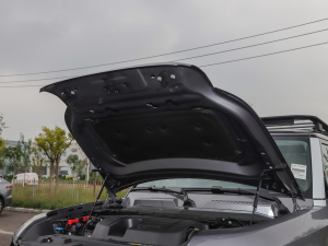 202290 3.0T ҹ؄e lәCœ