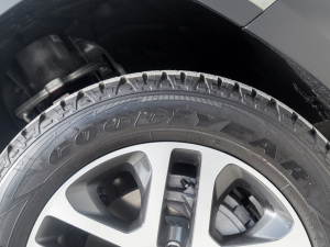 2022110 P400 ؄e ݆̥Ʒ