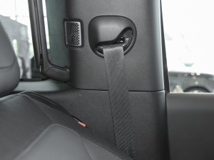 202290 2.0T X-DYNAMIC HSE g