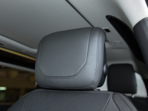 202290 2.0T X-DYNAMIC HSE g