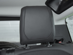 202290 2.0T X-DYNAMIC HSE g