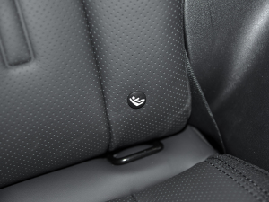 202290 2.0T X-DYNAMIC HSE g