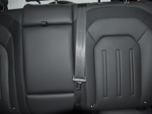 202290 2.0T X-DYNAMIC HSE g