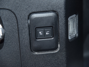 202290 2.0T X-DYNAMIC HSE g