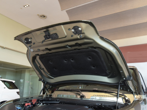 202290 2.0T X-DYNAMIC HSE l(f)әCœ