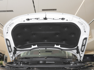 20223.0 L6 HST l(f)(dng)C(j)œ