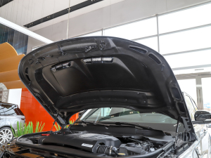 20225.0 SC V8 SVRpذ lәCœ