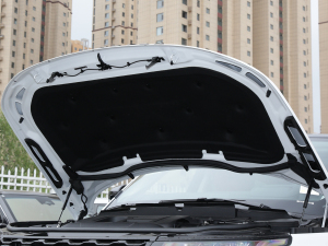 20223.0 L6 ҫڰ l(f)(dng)C(j)œ