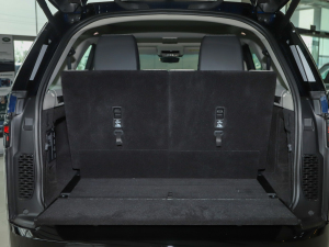 2021360PS R-Dynamic S g