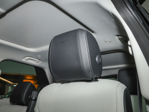 2021360PS R-Dynamic S g