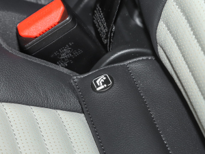 2021360PS R-Dynamic S g