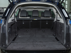 2021360PS R-Dynamic S g