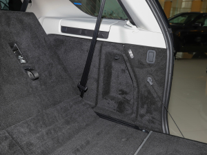 2021360PS R-Dynamic S g