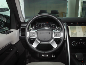 2021360PS R-Dynamic S P