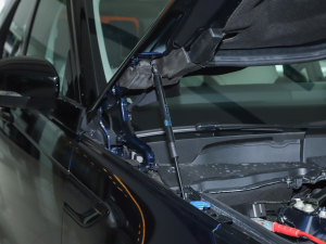 2021360PS R-Dynamic S 