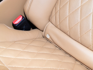 20225.0 SC V8 565PS SVAp儓(chung)L(zhng)  g