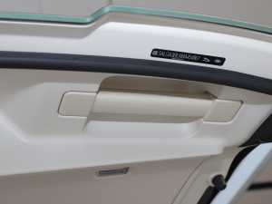 20225.0 SC V8 565PS SVApذ g