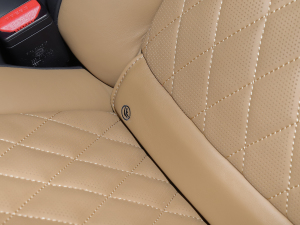 20225.0 SC V8 565PS SVAҫӵذ g