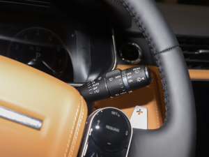 20225.0 SC V8 565PS SVAҫӵذ п؅^