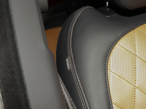 20225.0 SC V8 565PS SVAҫ(dng)ذ п؅^(q)