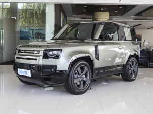 202390 2.0T P300 X-DYNAMIC HSE ǰ45