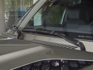 202390 2.0T P300 X-DYNAMIC HSE ˢ