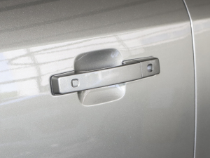 202390 2.0T P300 X-DYNAMIC HSE {T